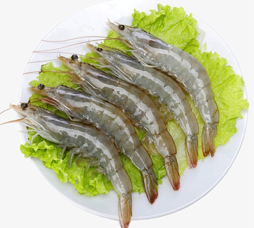Tôm Tươi