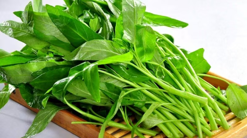 Rau Muống