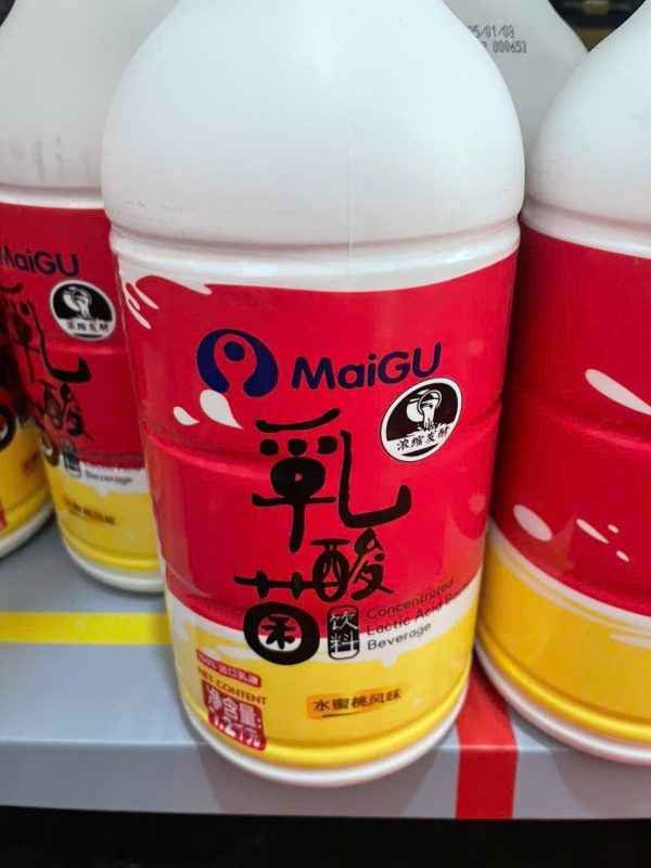 Maigu